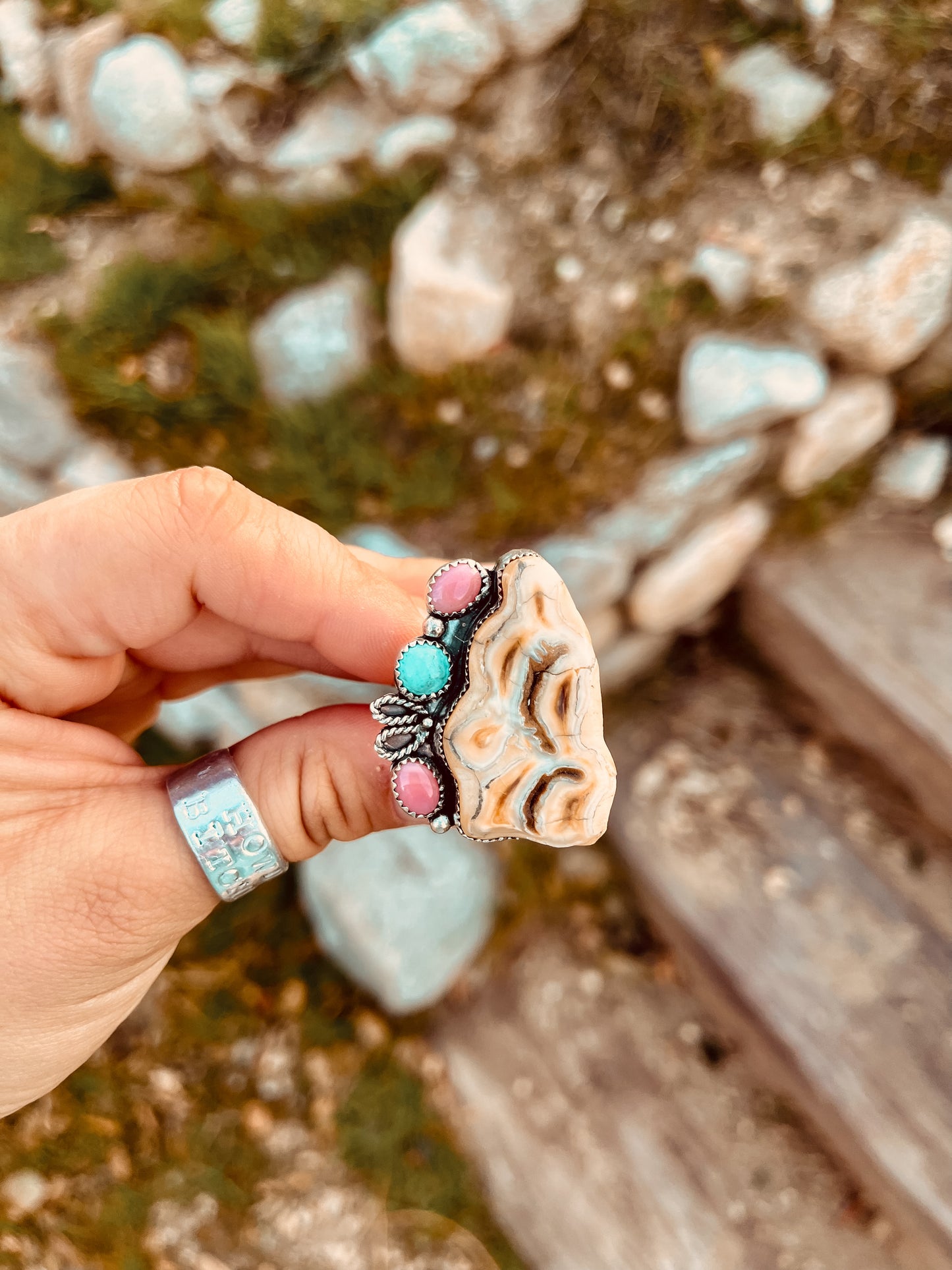 Custom Horse Tooth Deposit