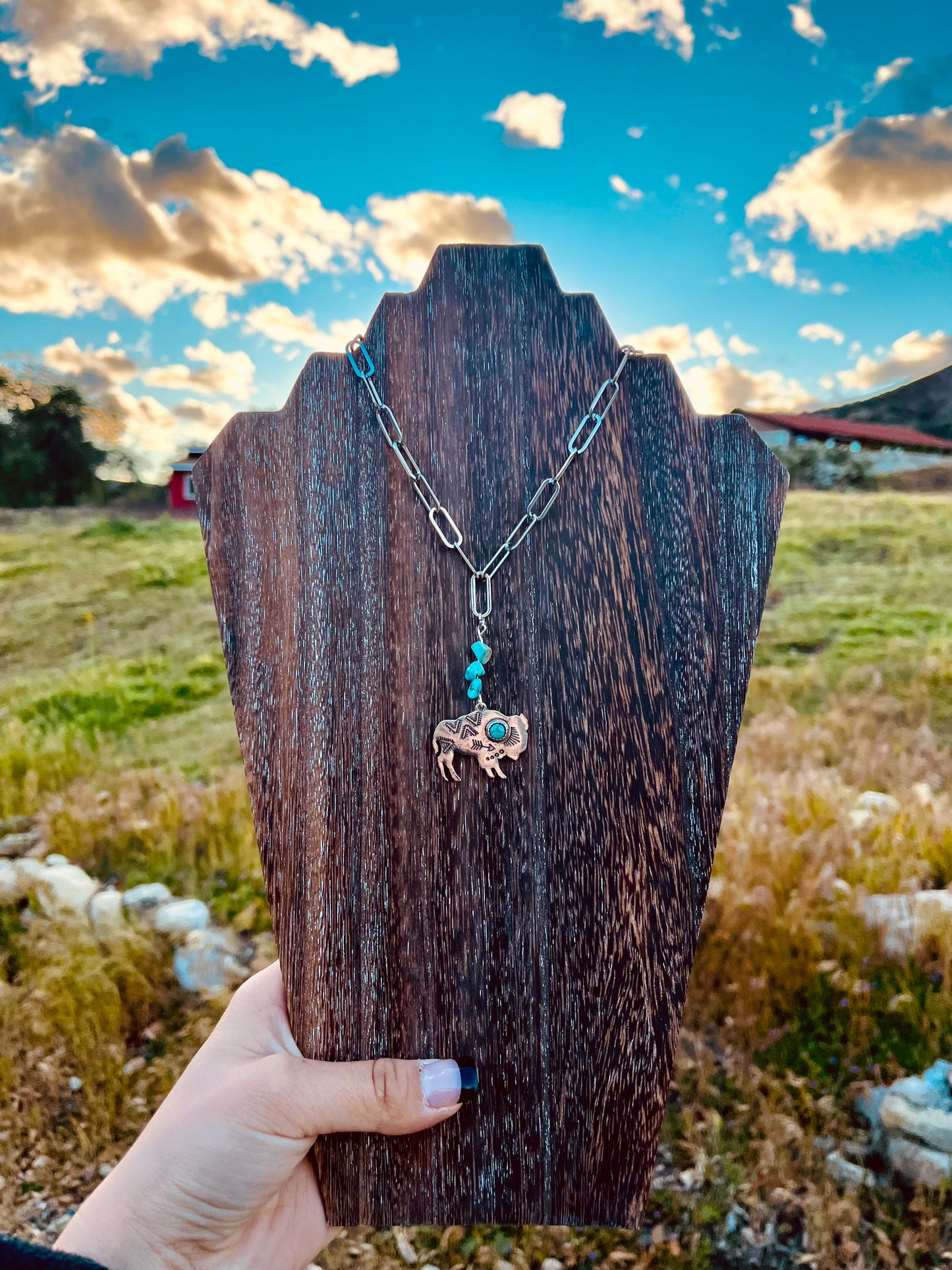 Buffalo Turquoise Necklace