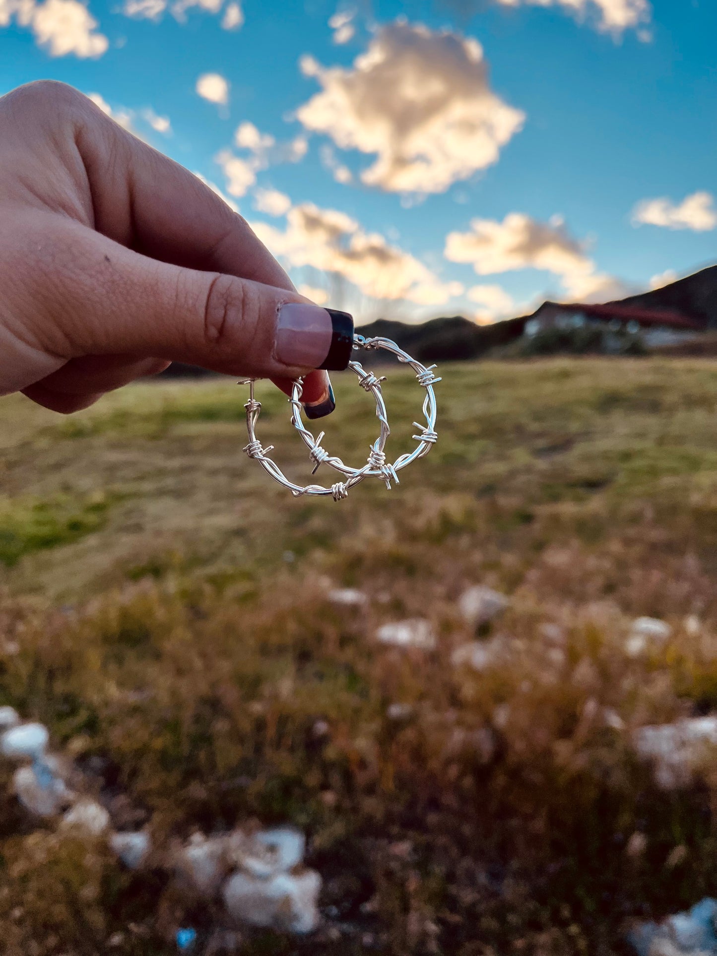 Barbed Wire Hoops